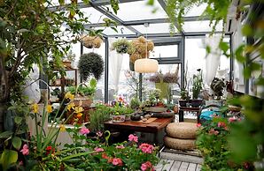 Peking International Youth Hostel