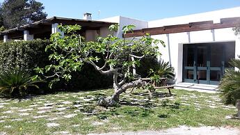 Agriturismo Vignavecchia