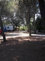 Agriturismo Vignavecchia