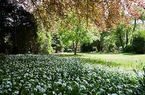 Afon Rhaiadr Country House