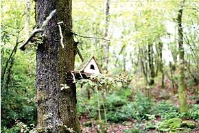 Afon Rhaiadr Country House