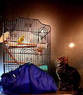 Piwaka Lodge and Backpackers