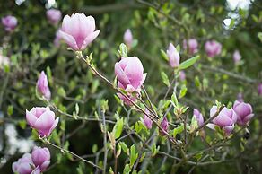 Hotel Garni Pod Skalkou