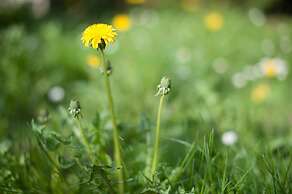 Hotel Garni Pod Skalkou