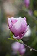 Hotel Garni Pod Skalkou