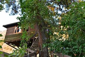 Gorge Club Saklikent - Campsite