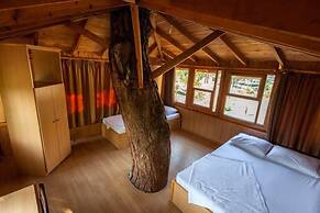 Gorge Club Saklikent - Campsite