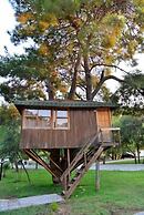 Gorge Club Saklikent - Campsite