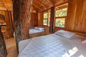 Gorge Club Saklikent - Campsite