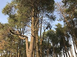 Simple Pleasures Shekvetili Hotel