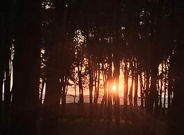 Simple Pleasures Shekvetili Hotel