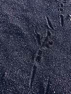 Simple Pleasures Shekvetili Hotel