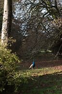 Lough Bawn House