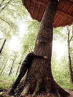 L'Arbre à Cabane