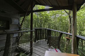 L'Arbre à Cabane