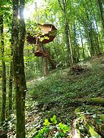 L'Arbre à Cabane