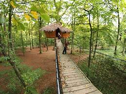 L'Arbre à Cabane