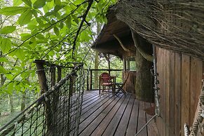 L'Arbre à Cabane
