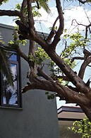 El Callejón Hotel Boutique