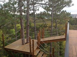 Gite du haut des arbres