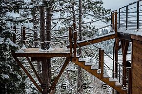 Gite du haut des arbres