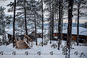 Gite du haut des arbres