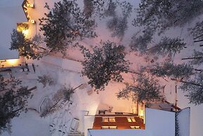 Gite du haut des arbres