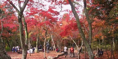 Arima Hot spring Ryokan Kotori