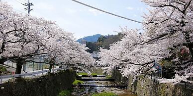 Arima Hot spring Ryokan Kotori
