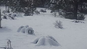 Cradle Alpine Retreat