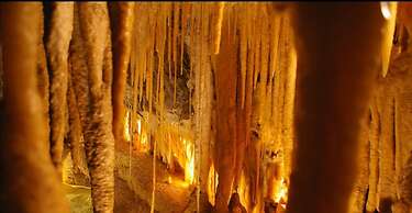 Cradle Alpine Retreat