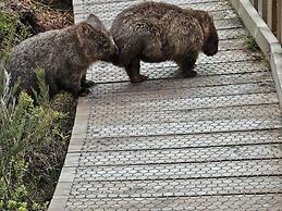 Cradle Alpine Retreat