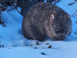 Cradle Alpine Retreat