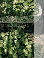 Zhangjiajie Wang Yi Inn