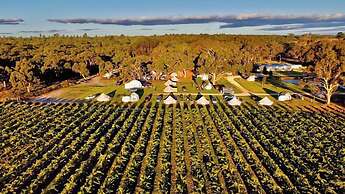 Coonawarra Bush Holiday Park