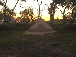 Coonawarra Bush Holiday Park