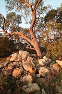 Coonawarra Bush Holiday Park