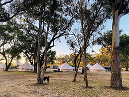 Coonawarra Bush Holiday Park