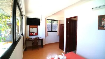 Alona Vida Beach Resort