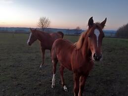 B&B La Chabetaine