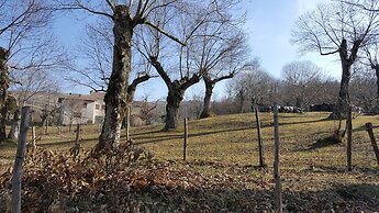 Agriturismo Bio I Rondinelli