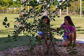Pousada Pé na Terra