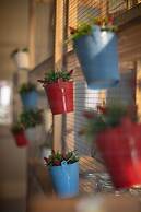 Terrazza Santa Chiara