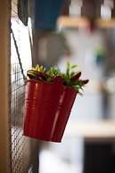 Terrazza Santa Chiara