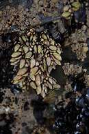 Hotel Playa de las Catedrales