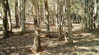 Pousada Flores do Campo