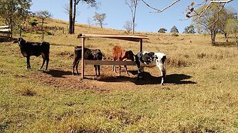 Pousada Flores do Campo