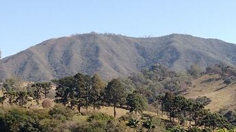 Pousada Flores do Campo