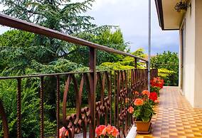 Airport Venice Diego 2