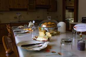 Airport Venice Diego 2